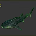 Whale Shark Plush Toy With Blue Body And White Spots On Dark Background