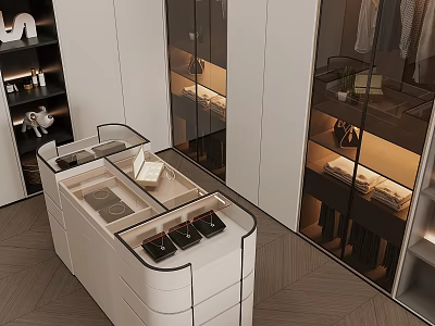 Modern Storage Space Interior With Glass Cabinets Drawers Lighting And Displayed Items 3d model