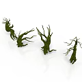 Unique Shaped Withered Trees With Green Moss On White Background 3d model