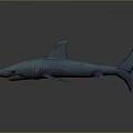 Blue Shark 3D Render Marine Animal With Sharp Teeth And Fins