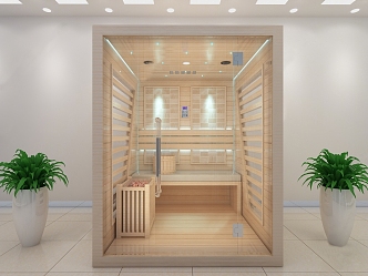 Modern Sauna Room Bathing Sauna Room 3d model