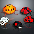 Colorful Ladybugs With Different Spots And Vibrant Shells On Dark Background