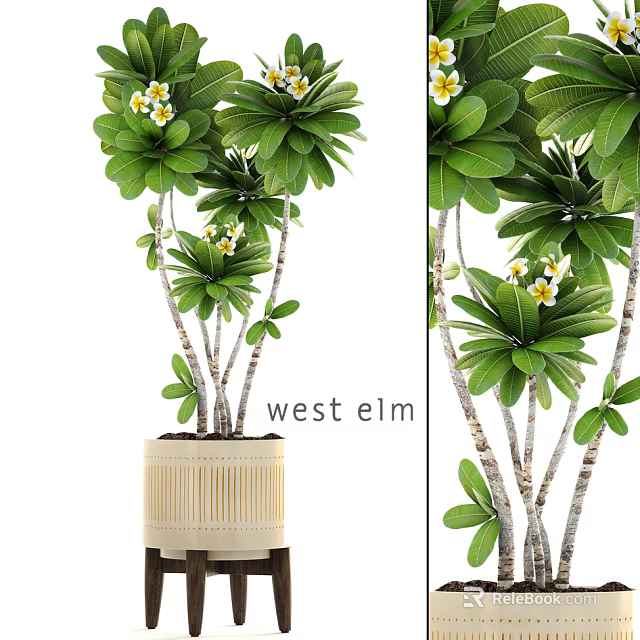 Lush Bonsai Potted Plant With Lush Green Leaves White Flowers And Bamboo Pattern Ceramic Pot 3d model 