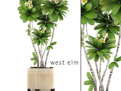 Lush Bonsai Potted Plant With Lush Green Leaves White Flowers And Bamboo Pattern Ceramic Pot 3d model