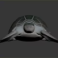 Realistic Green Shell Turtle With White Body And Textured Fins On Black Background