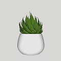 Decorative Bonsai Potted Plant in White Pot with Green Succulent Leaves