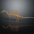Modern Dinosaur Fossil Skeleton Animal Skeleton 3d model