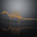 Modern Dinosaur Fossil Skeleton Animal Skeleton Skeleton 3d model