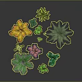 Diverse Colorful Plant Foliage with Various Leaf Shapes and Vibrant Green Hues