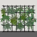 Living Plant Wall with Black Metal Frame and Various Green Plants on White Background