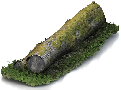 Stone Wood Log Covered With Green Moss On Natural Organic Ground 3d model