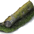 tree trunk moss wood wood moss trunk 3d model