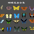 Modern Butterfly 3d model