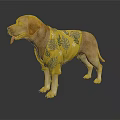 Labrador Dog Wearing Yellow Shirt With Leaf Pattern Standing On White Background