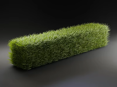 Green Shrub Rectangular Shaped with Lush Grassy Texture for Garden Decoration on Dark Background 3d model