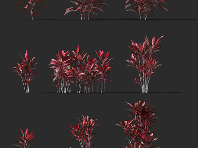 Red Flowering Plants With Various Forms And Vibrant Red Foliage For Indoor Decor 3d model
