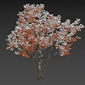 Beautiful Winter Arbor With Snow Covered Orange Red Leaves On Black Background