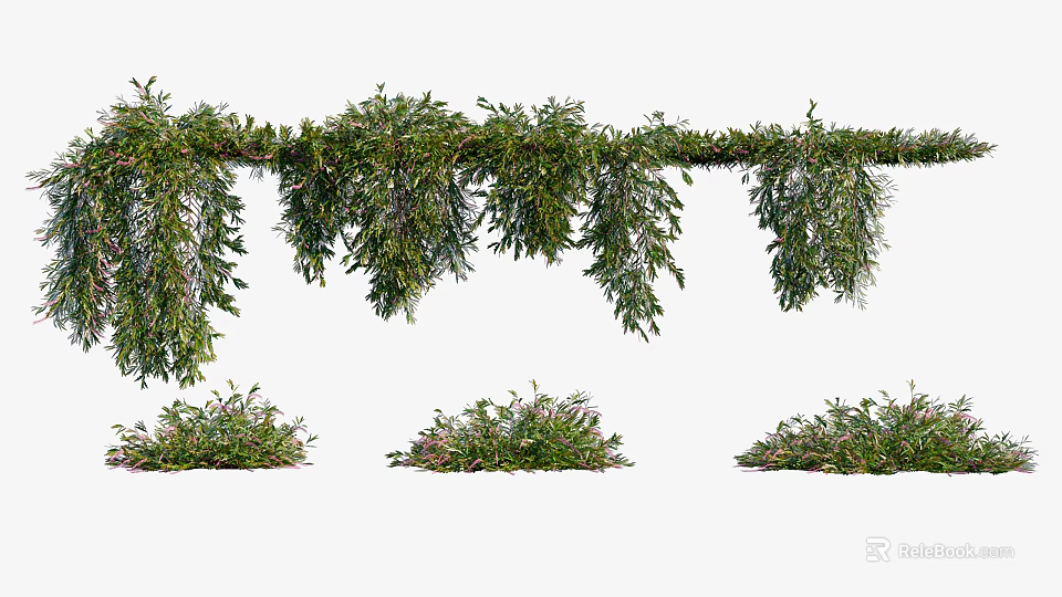 Long Green Hanging Vines With Lush Foliage And Multiple Clustered Bottom Growths 3d model 