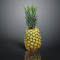Fresh golden pineapple with green leaf crown on black reflective surface 3d model