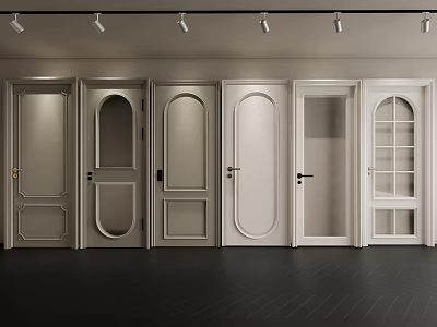 Various Style Interior Doors In Light Gray And White With Arched Glass And Dark Floor 3d model