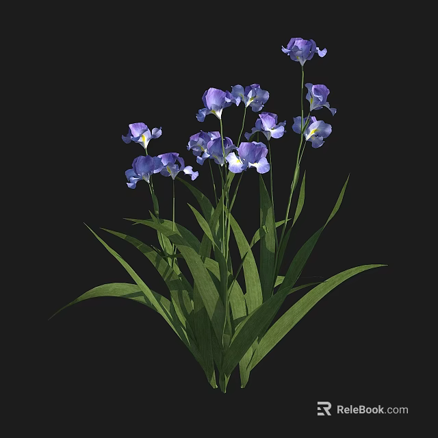 Vibrant Purple Iris Flowers With Long Green Leaves In Natural Growth State 3d model 