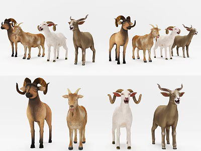 Modern sheep 3d model
