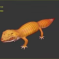 Lizard Anime Lizard Chameleon Cartoon Lizard Reptile Cold Blooded Animal Reptile Class 3d model