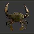 Realistic Giant Crab With Large Orange Claws And Green Shell On Dark Background