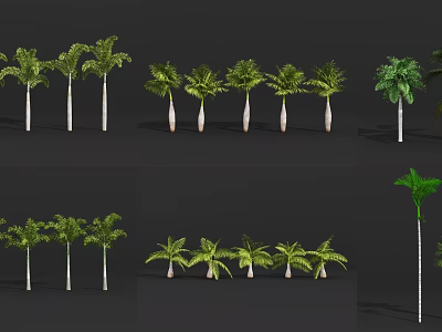Various Types of Trees Display With Green Foliage And Diverse Trunk Shapes 3d model