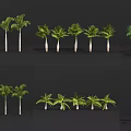 Various Types of Trees Display With Green Foliage And Diverse Trunk Shapes