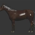 3D Model Of Brown Horse With White Mane On Black Background And Reflection 3d model