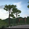 Scenic Park Landscape With Stone Steps Pine Trees Gravel Path And Distant Mountain Building