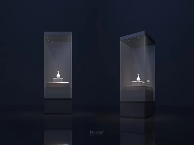 Museum Display Cases With Transparent Glass Lighting And Dark Background For Exhibits 3d model