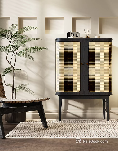 Modern Decorative Cabinet with Rattan Doors Black Frame Green Plant and Chair in Interior Setting 3d model 