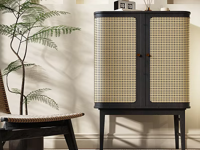 Modern Decorative Cabinet with Rattan Doors Black Frame Green Plant and Chair in Interior Setting 3d model