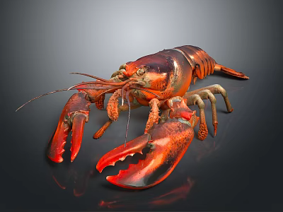Vibrant Red Lobster With Glossy Shell And Open Claws On Black Surface 3d model