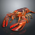 Vibrant Red Lobster With Glossy Shell And Open Claws On Black Surface