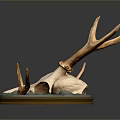 Detailed Deer Skull Antler Sculpture With Green Base And Artistic Design
