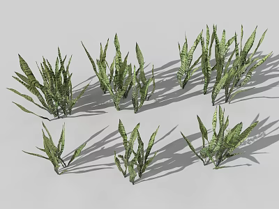 Green Herbaceous Plants with Slender Textured Leaves in Clusters on Gray Background and Shadow Effects 3d model