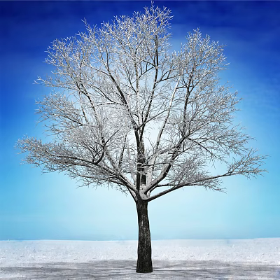 Snow Covered Tall Tree Standing In Snowy Landscape With Clear Blue Sky 3d model
