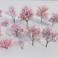 Pink Flowering Trees Collection with Vibrant Blossoms and Diverse Sizes 3d model