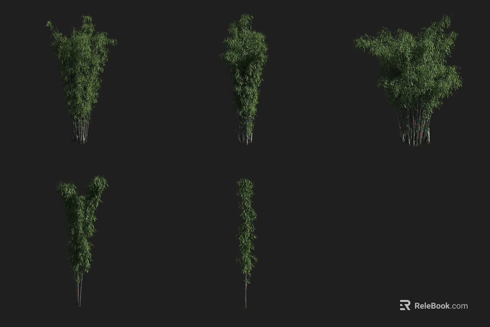 Collection of Bamboo Plants Showcasing Different Growth Forms On Black Background 3d model 