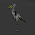 Modern Whalehead Stork Bootbeak Stork Whalehead Crane 3d model