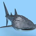 Whale Shark With White Spots On Dark Body And Large Mouth In Light Blue Background