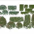 Diverse Shaped Garden Bushes with Lush Foliage and Flowering Varieties for Landscaping