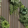 Modern Living Plant Wall Design With Vertical Greenery And Wooden Slats