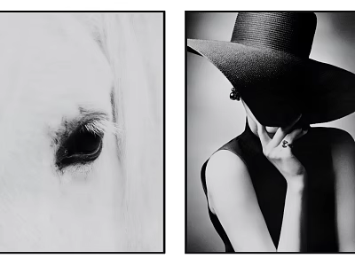 Black and White Portrait of Woman in Wide Brimmed Hat with Sleeveless Top Ring Earrings 3d model