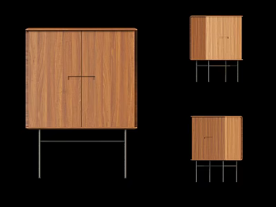 Modern Wooden Entryway Console Cabinet And Side Cabinet With Double Door And Metal Legs 3d model