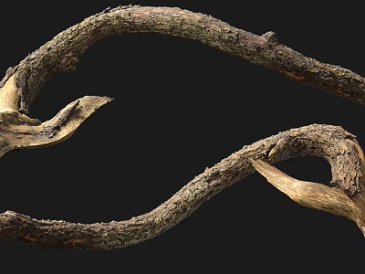 Natural Stone Wood Decor With Twisted Curved Shape And Textured Surface 3d model