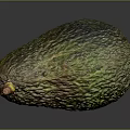 Fresh Ripe Green Avocado With Natural Rough Skin Texture For Daily Life